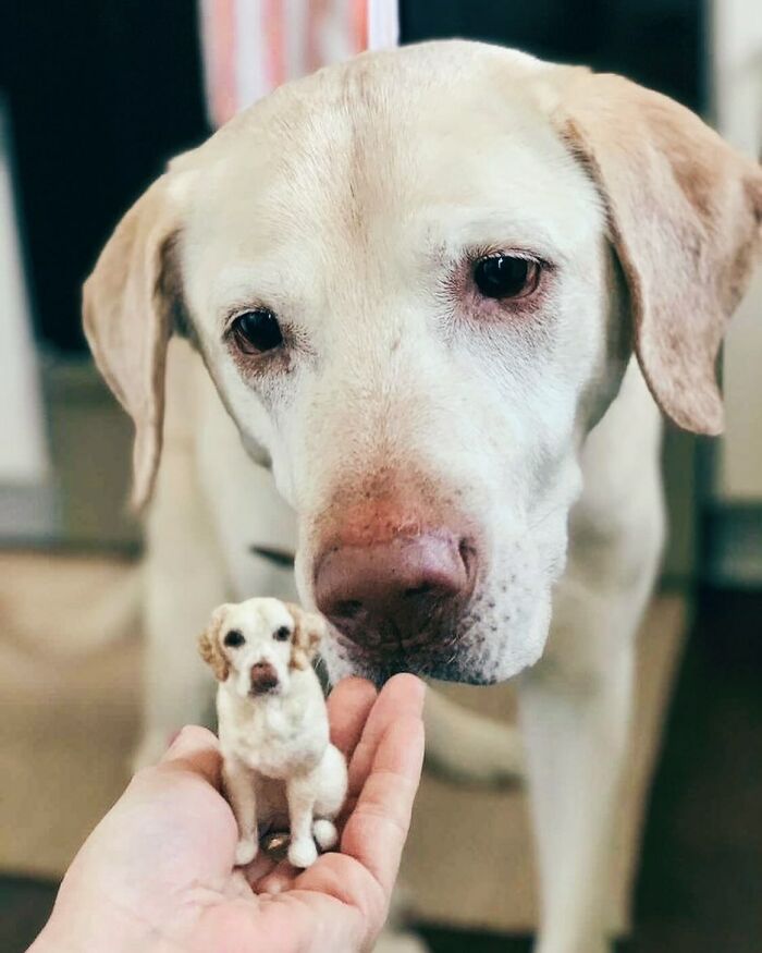 Cute felted version of a dog held in hand next to the real dog looking at it closely.