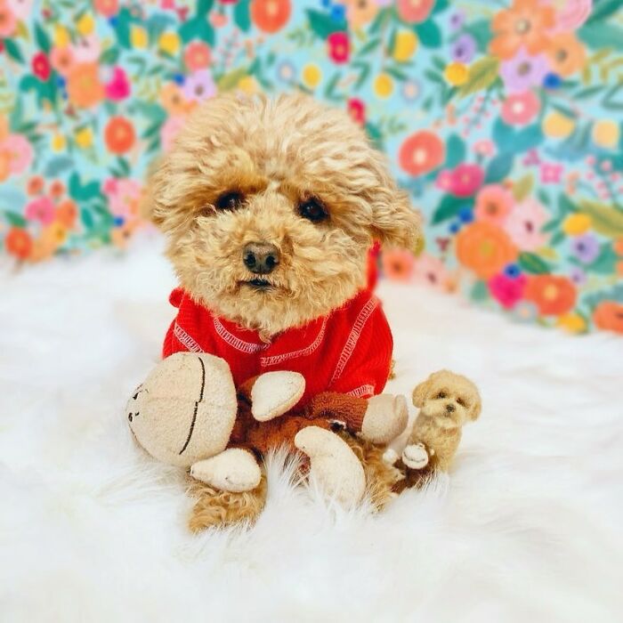 Cute felted pet versions with a curly dog in a red sweater, featuring a colorful floral background.