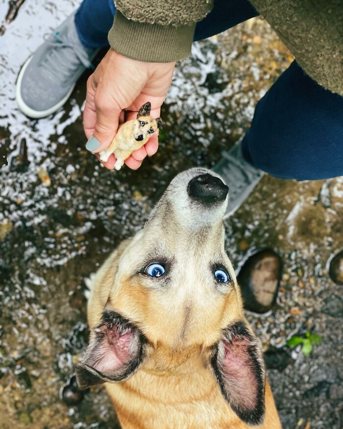 Person holding a cute felted pet resembling a dog with blue eyes looking up.