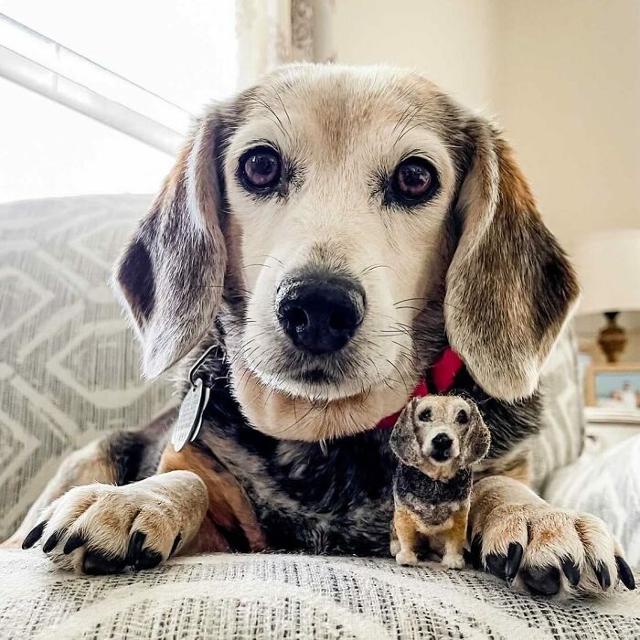 Cute felted pet version beside real dog on sofa.