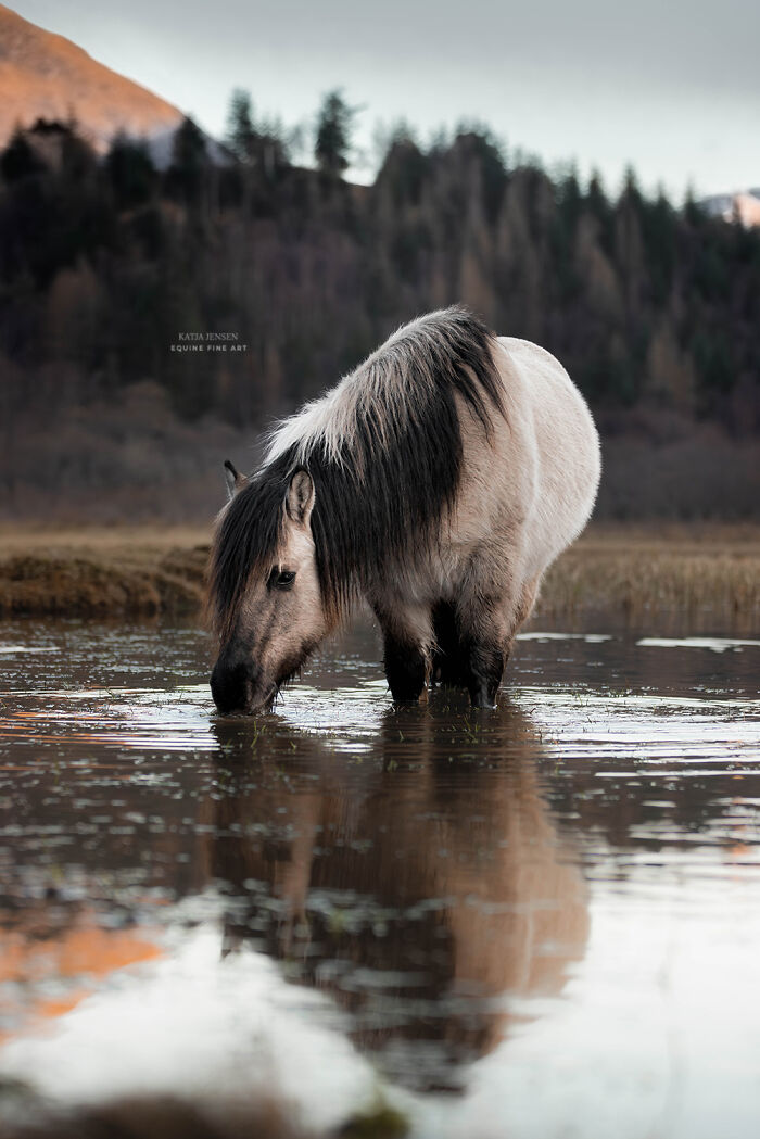 "Reflection Of Peace"