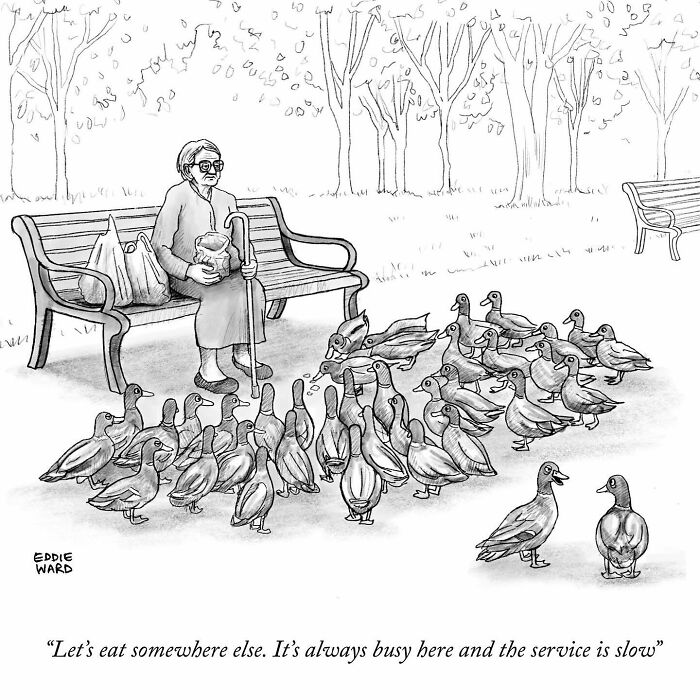 Elderly woman on park bench surrounded by ducks, with comic text by Eddie Ward.
