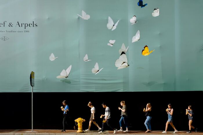 People walk past a wall with butterfly designs, creating a perfectly timed coincidence.