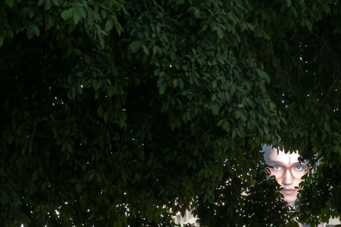 A face wearing glasses peeks through dense green leaves, creating a perfectly timed picture by Edas Wong.