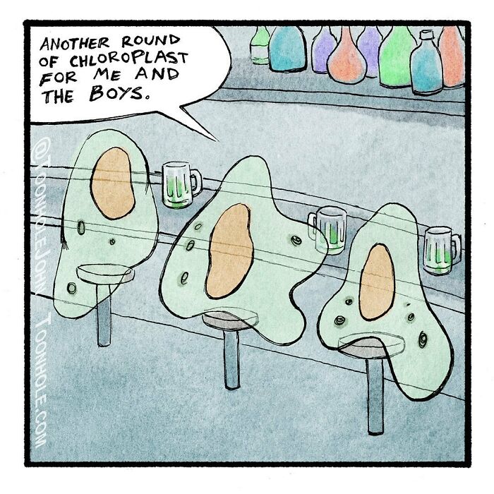 Avocado stools at a bar with drinks, featuring a playful twist by Toonhole John.