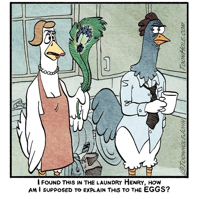 Chicken couple in kitchen, surprised by a peacock feather.