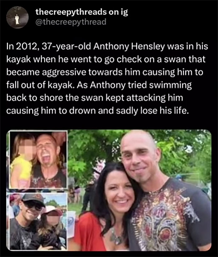 Text post about a man attacked by a swan leading to drowning, illustrating spooky facts about our world.