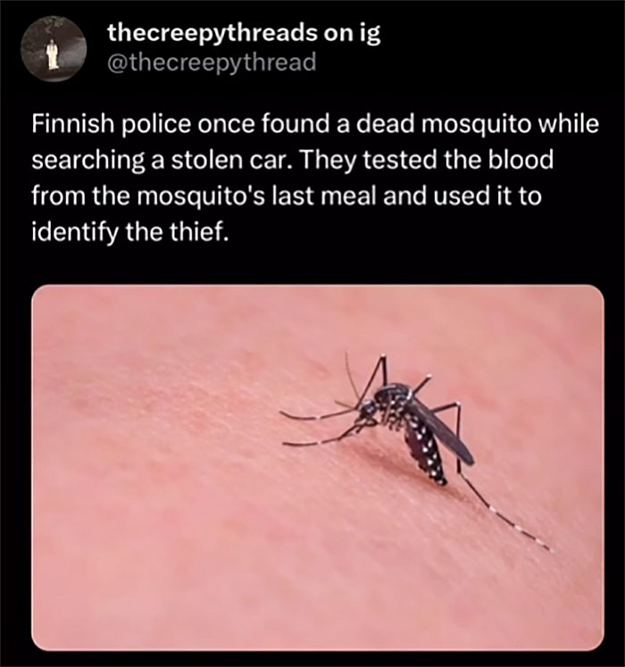Mosquito on human skin with text about using mosquito blood to identify a thief, highlighting spooky facts about our world.
