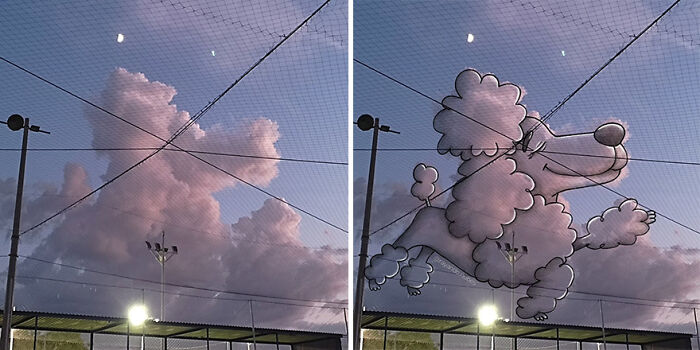 Illustration on clouds showing a poodle sketch against a sky backdrop.