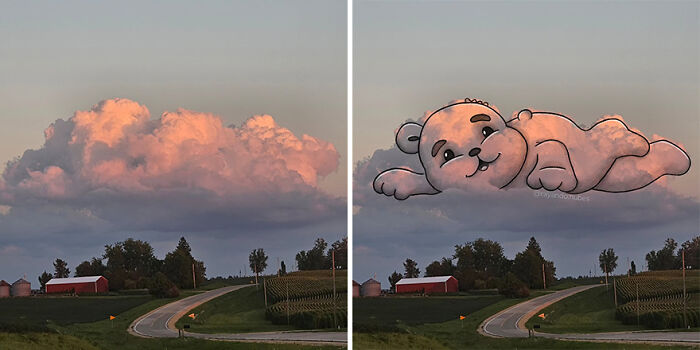 Fun illustration of a bear on a cloud over a rural landscape at sunset.
