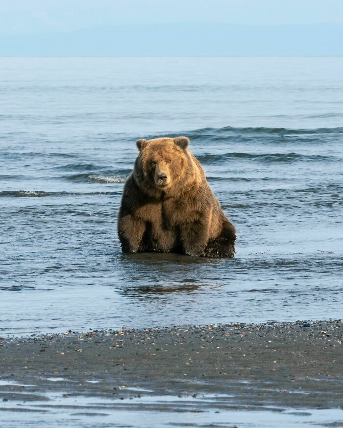 What Would You Do If You Saw This On A Beach?