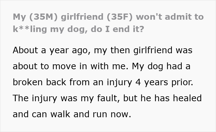 Text discussing a dog's injured back, weighted blanket incident, and relationship issues.