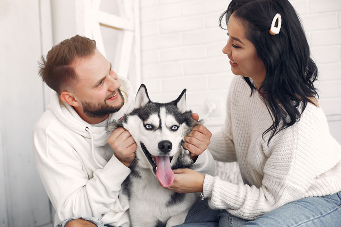 Couple sitting with an adopted husky, showing affection and smiling in a cozy room.