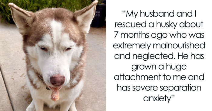 Guy Doesn’t Want To Deal With Adopted Dog Anymore; Livid When Wife Takes Dog And Leaves