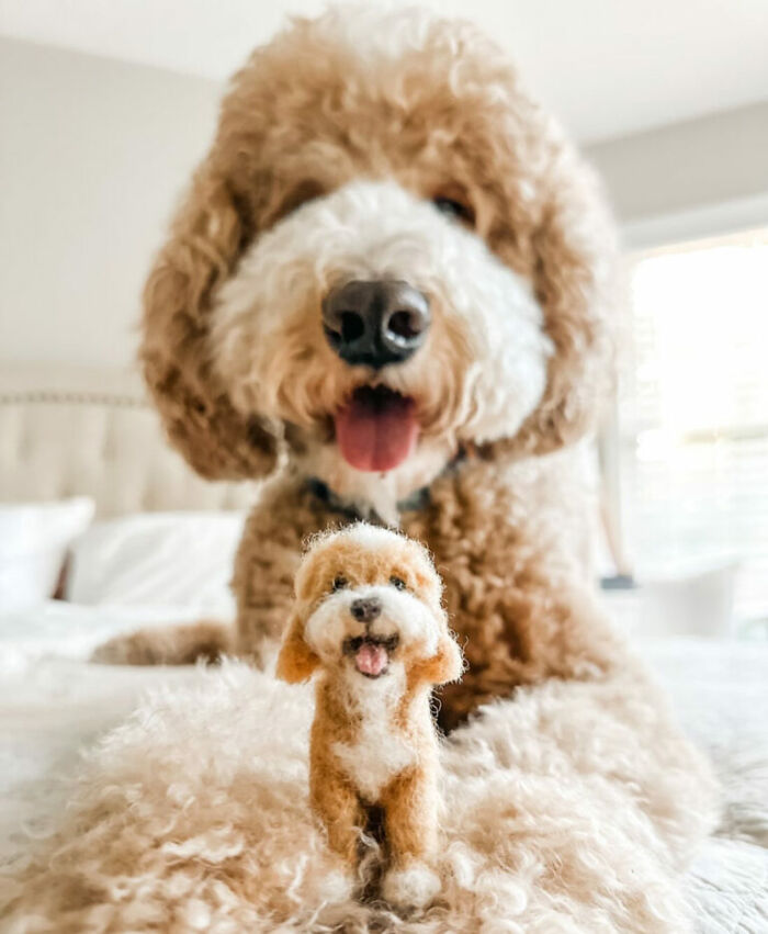 Cute felted pet version sitting in front of a fluffy dog, both with matching expressions and curly fur.