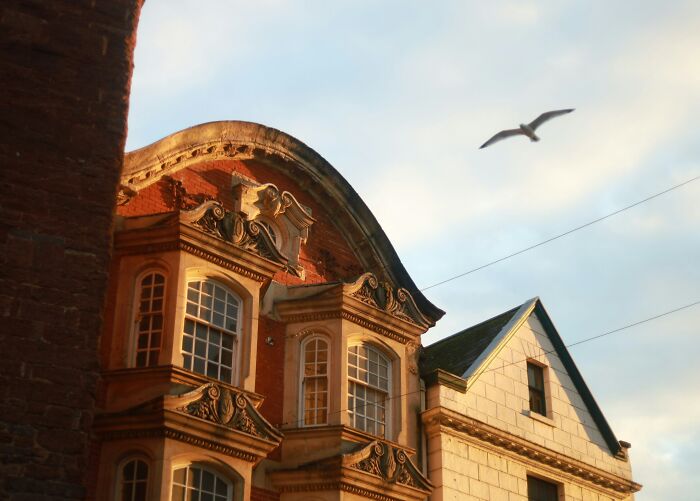 Ornate building facade with seagull in the sky, capturing travel sights typical of American tourists' photos.