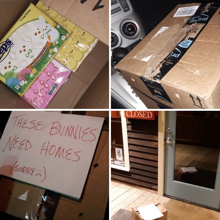 Box with bunny-shaped candies, a note saying "These bunnies need homes," left at a closed door; a funny coworker prank.