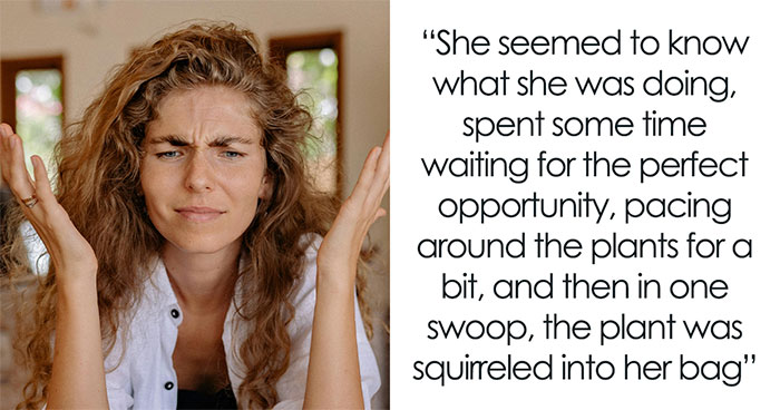 Man’s Beloved Lithodora Plant Gets Randomly Stolen, He Insists On Finding The Thief