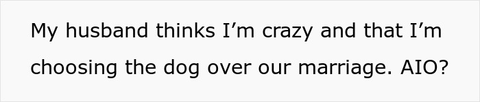 Text expressing a spouse's belief about prioritizing a dog over marriage, highlighting relationship and behavior conflict.