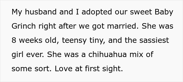 Text about adopting a Chihuahua mix puppy, named Baby Grinch, by a couple right after their marriage.