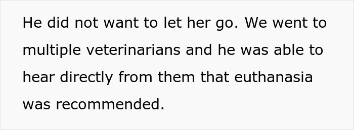 A woman's perspective on euthanasia for a dying pet, while her husband hopes for recovery.