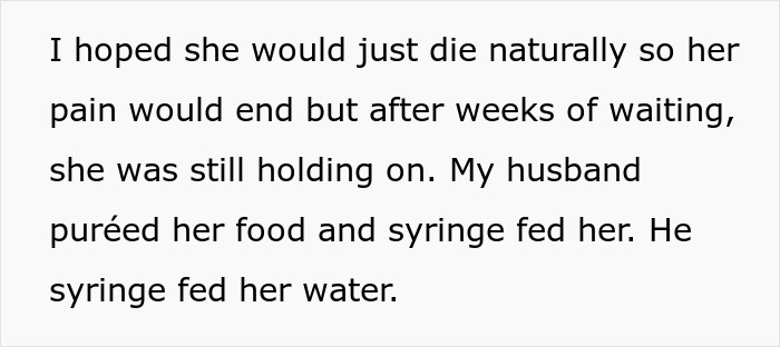Text describing a dog's suffering, care, and husband clinging to hope, feeding through a syringe while waiting.