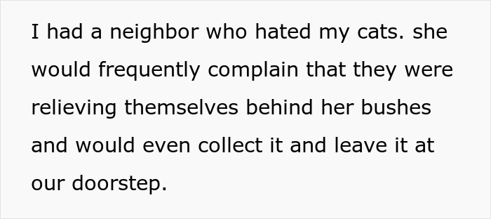 Text conversation showing neighbor's complaints about cats, leading to conflict and revenge.