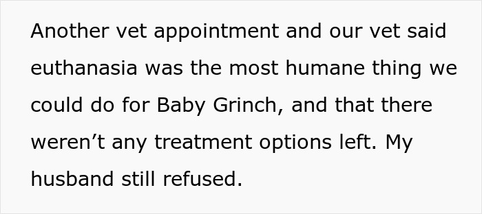 Text about a vet recommending euthanasia for a dying dog, Baby Grinch, while the husband disagrees.