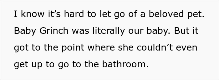 Text about letting go of a beloved dying dog named Baby Grinch.