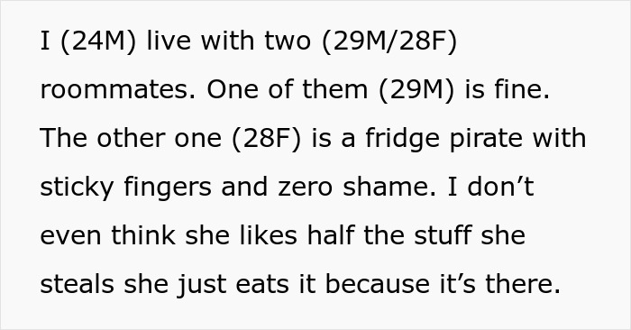 Text about a roommate stealing cheese, mentioned as a fridge pirate.