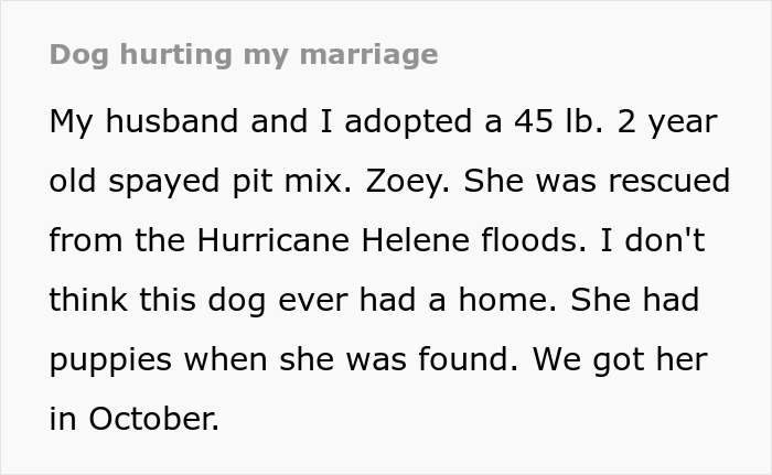 Text about couple's marriage impacted by their rescue dog's challenges. Text about couple's marriage impacted by their rescue dog's challenges.