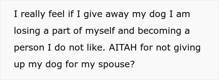 Text asking if not giving up a dog for a spouse is wrong, highlighting a dilemma about partner's dog.
