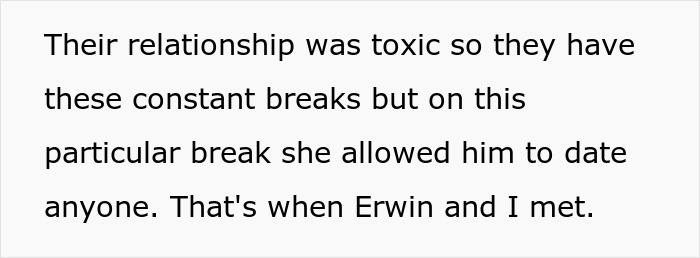 Text about a toxic relationship and breaks, involving Erwin.