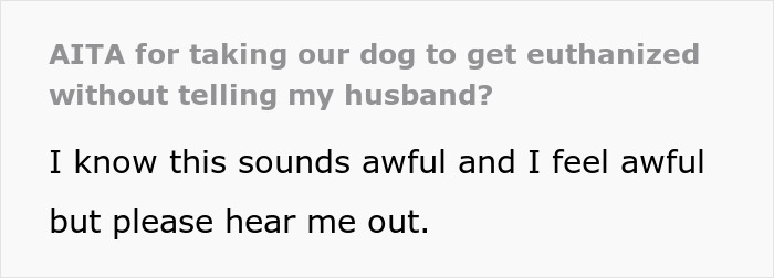 Text message about euthanizing a dog without husband's knowledge, discussing emotional distress and decision-making.