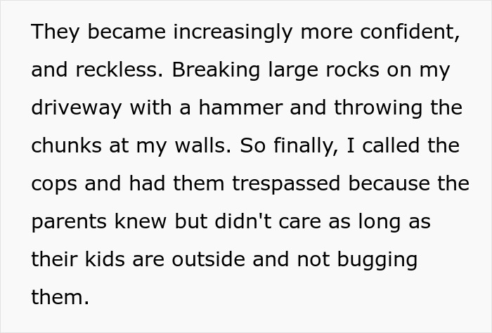Text excerpt discussing reckless children causing damage, with no visible image of a woman or swing set, related to woman buying swing set.