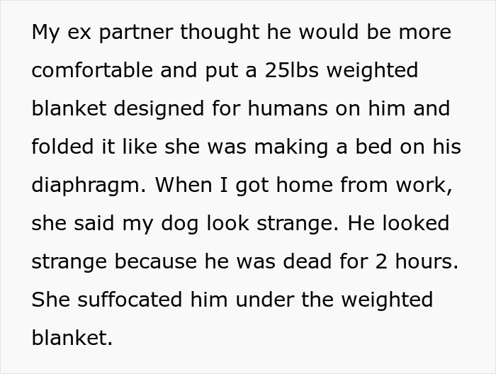 Text recounting incident with dog, weighted blanket, and emotional aftermath.