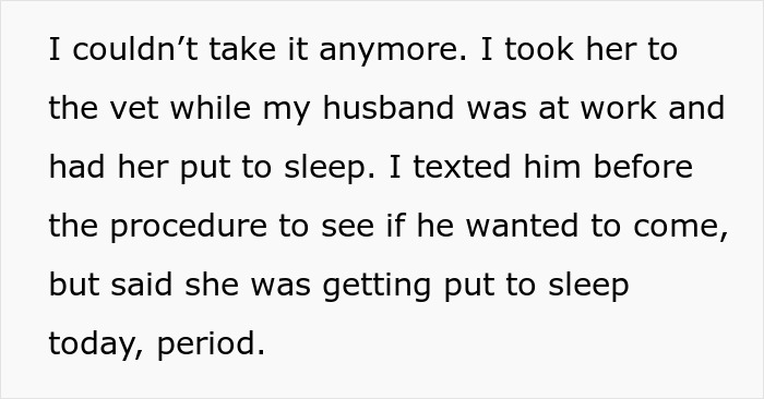 Text about a woman ending her dying dog's suffering by taking it to the vet, while her husband clings to hope.