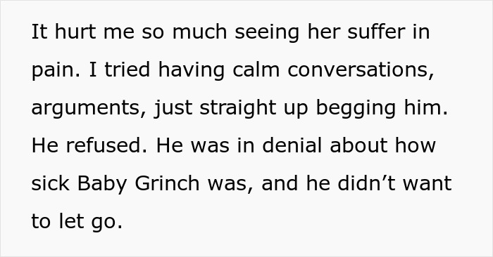 Text from a story about a woman ending her dying dog's suffering despite her husband's denial.