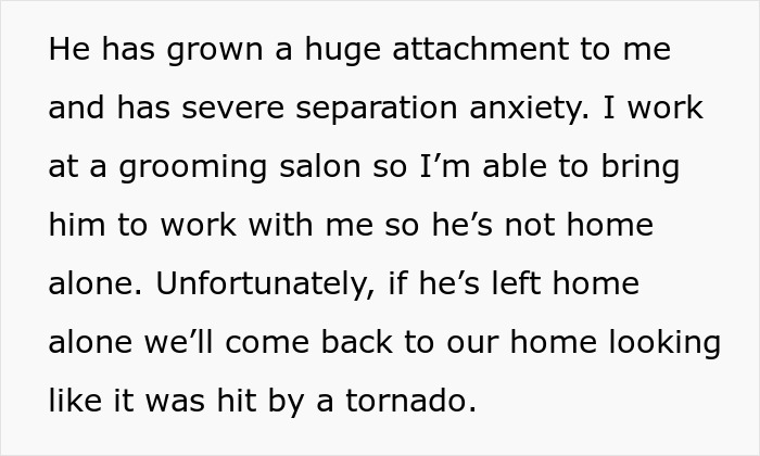 Text about adopted dog's separation anxiety and its behavior challenges at home.