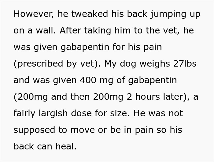 Text detailing dog's back injury, gabapentin prescription, and care instructions for healing.