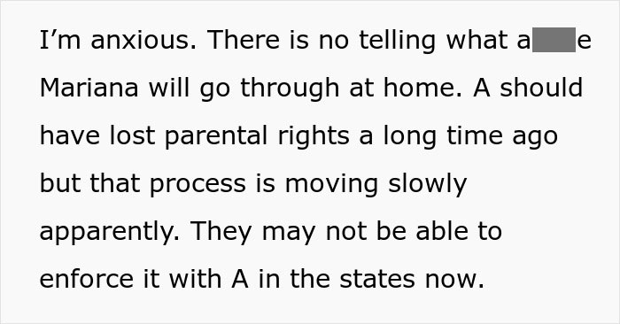 Text discussing concerns about parental rights and child safety in a slow legal process.