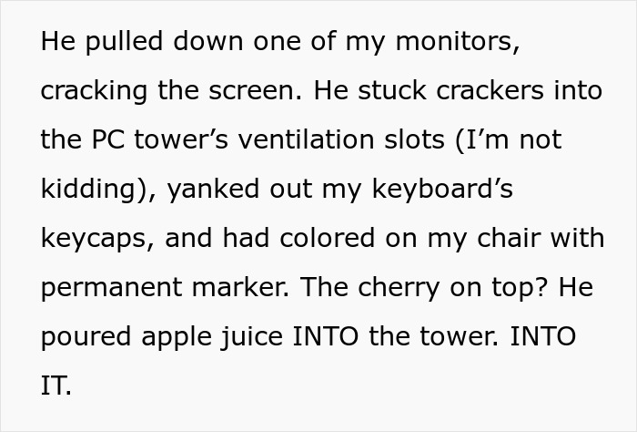 Text describing damage caused by a nephew, highlighting family drama and costly repairs.