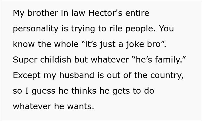 Text describing a man banned from vacation for childish behavior.