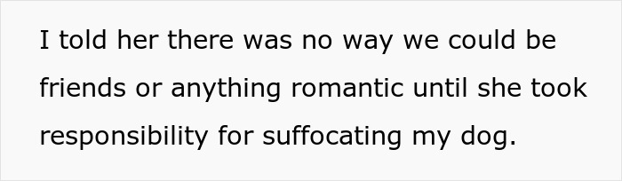 Text about a dog injured by a weighted blanket, discussing forgiveness and responsibility.