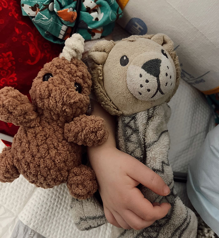 Child's hand holding stuffed animals, representing a parenting influencer's son.