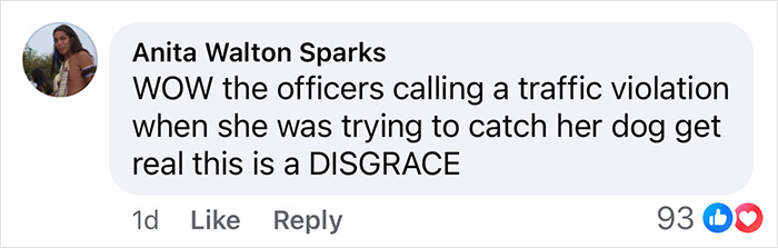 Comment on viral video about Black woman detained for walking on road.