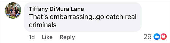 Commenter's reaction to viral video on walking detainment contrasts.