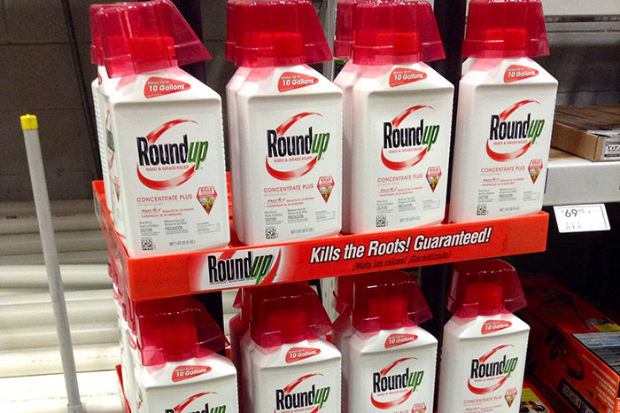 Roundup weed killer bottles displayed on a store shelf, representing a notable company decision.