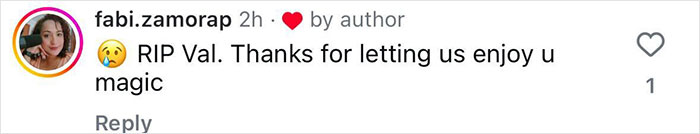 Comment screenshot expressing gratitude and mourning Val Kilmer.