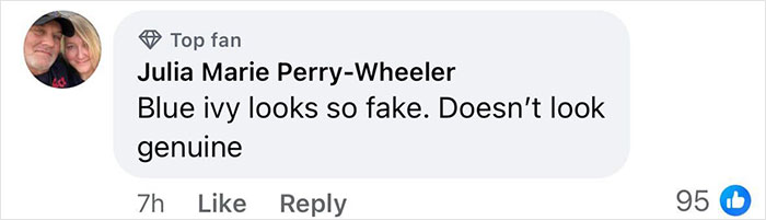 Facebook comment from a top fan criticizing Blue Ivy's authenticity amid Beyonc&eacute; and Jay-Z grooming accusations.